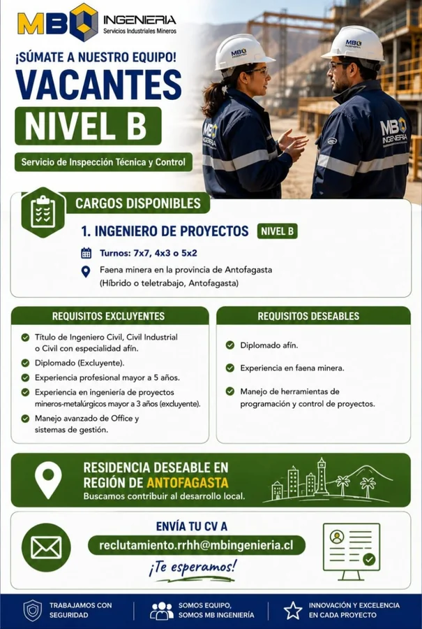 Ingeniero de Proyectos - imagen 1