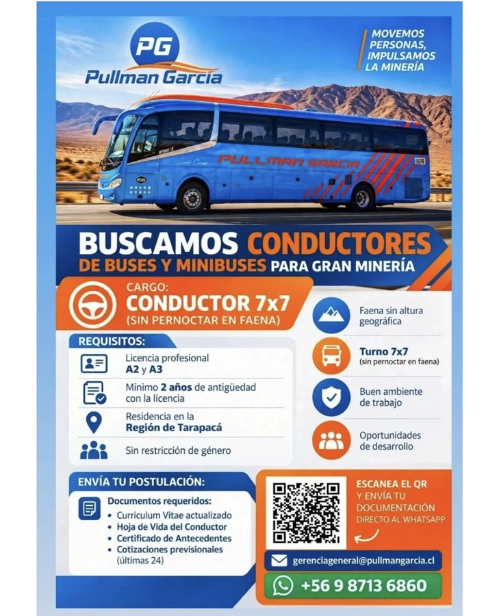 Conductor de Buses y Minibuses 7x7 - imagen 1