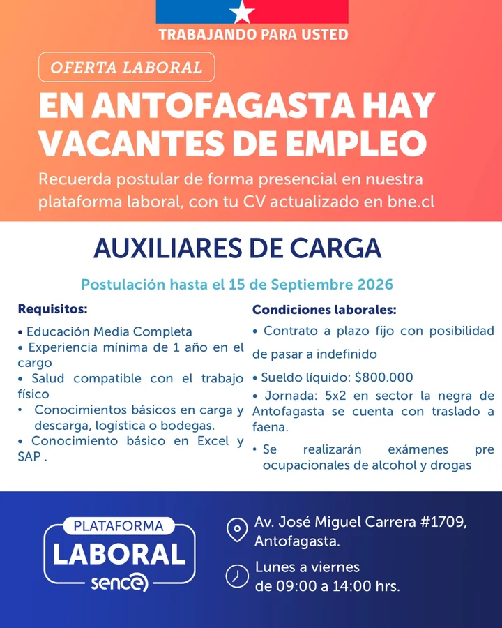 Auxiliares de Carga - imagen 1