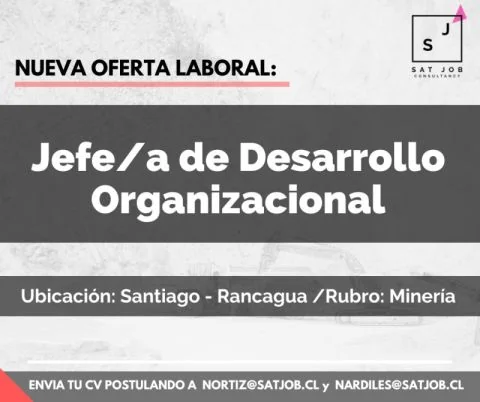 Jefe/a de Desarrollo Organizacional - imagen 1