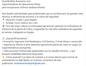 Superintendente de Operaciones Planta - imagen 1