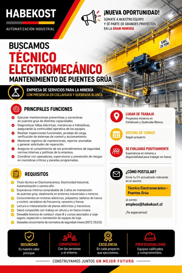 Técnico Electromecánico - Puentes Grúa - imagen 1