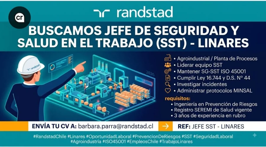 Jefe de Seguridad y Salud en el Trabajo (SST) - imagen 1