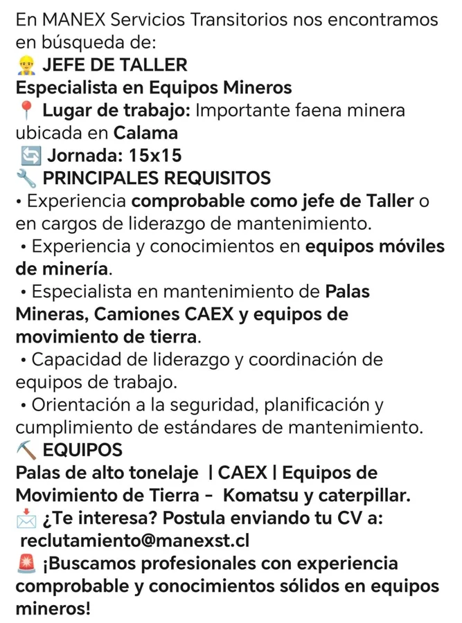 Jefe de Taller Especialista en Equipos Mineros - imagen 1