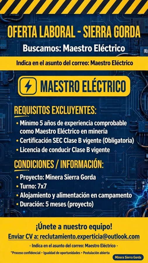 Maestro Eléctrico - imagen 1