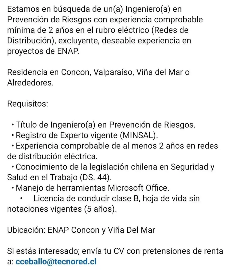 Ingeniero(a) en Prevención de Riesgos - imagen 1