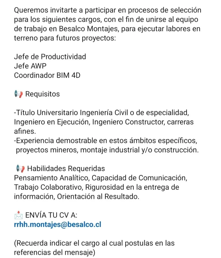 Jefe de Productividad, Jefe AWP, Coordinador BIM 4D - imagen 1