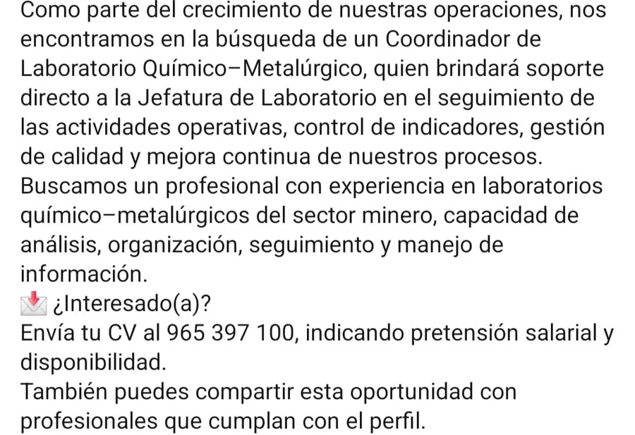 Coordinador de Laboratorio Químico-Metalúrgico - imagen 1