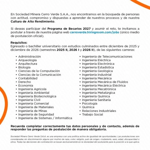 Programa de Becarios 2027 - imagen 1