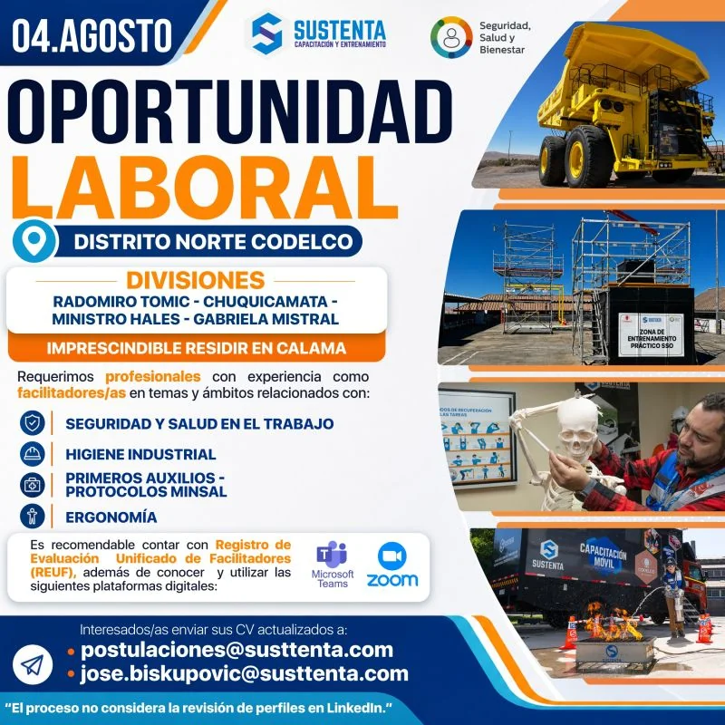 Facilitador en Seguridad y Salud en el Trabajo - imagen 1