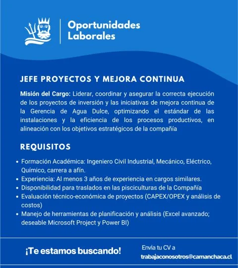 Jefe de Proyectos y Mejora Continua - imagen 1