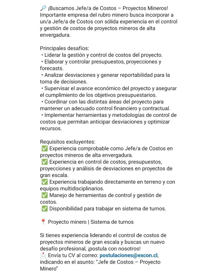 Jefe/a de Costos - Proyectos Mineros - imagen 1