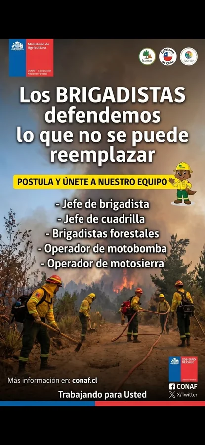 Convocatoria a Brigadistas Forestales y Jefes de Cuadrilla - imagen 1