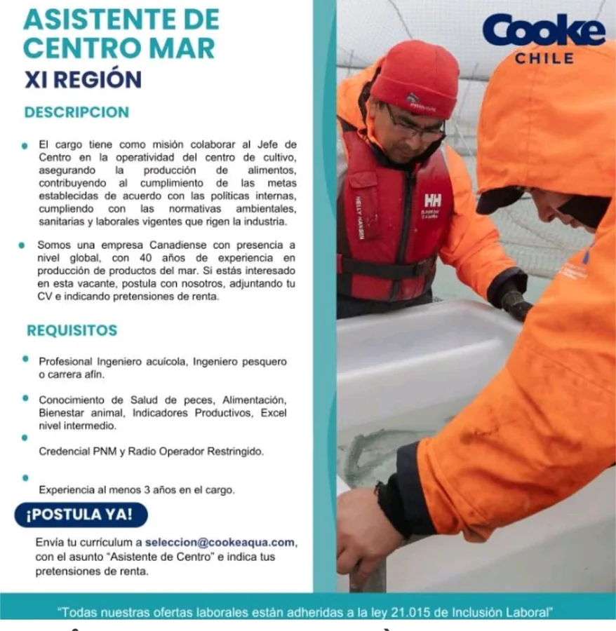 Asistente de Centro Mar - imagen 1