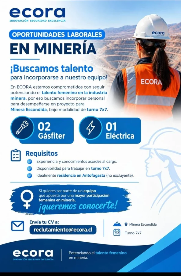 Gásfiter y Eléctrica para Proyecto Minero - imagen 1