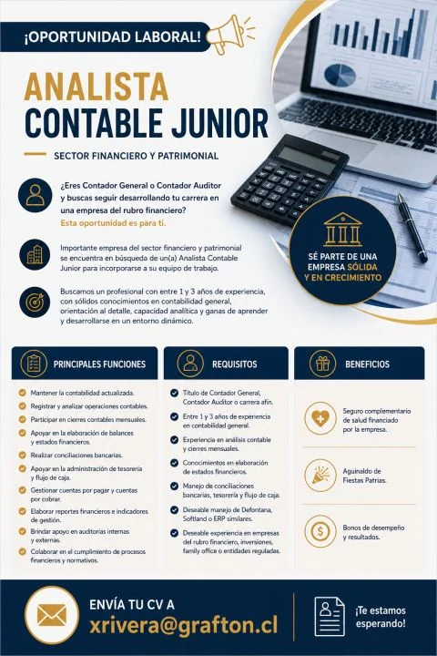 Analista Contable Junior - imagen 1