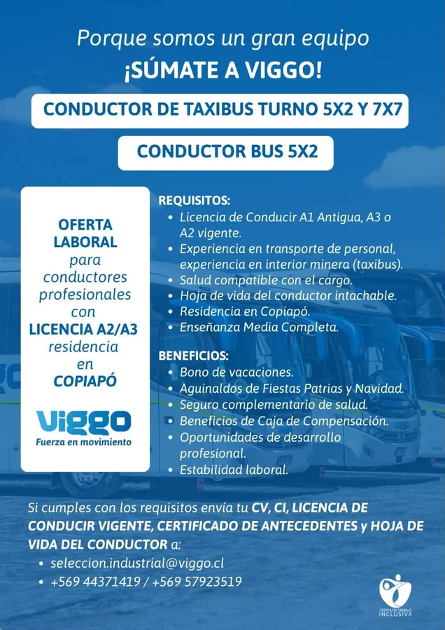 Conductor de Bus y Taxibus - imagen 1