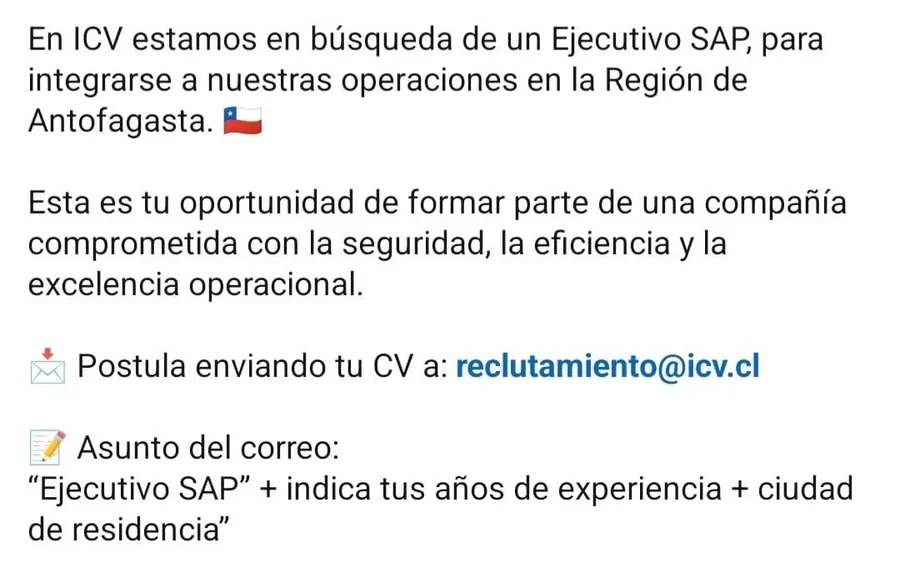Ejecutivo SAP - imagen 1