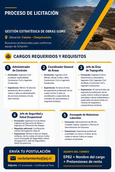 Profesionales para Equipo de Licitación Minera - imagen 1
