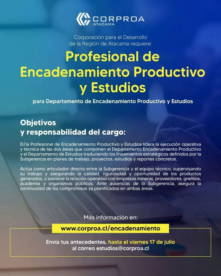 Profesional de Encadenamiento Productivo y Estudios - imagen 1