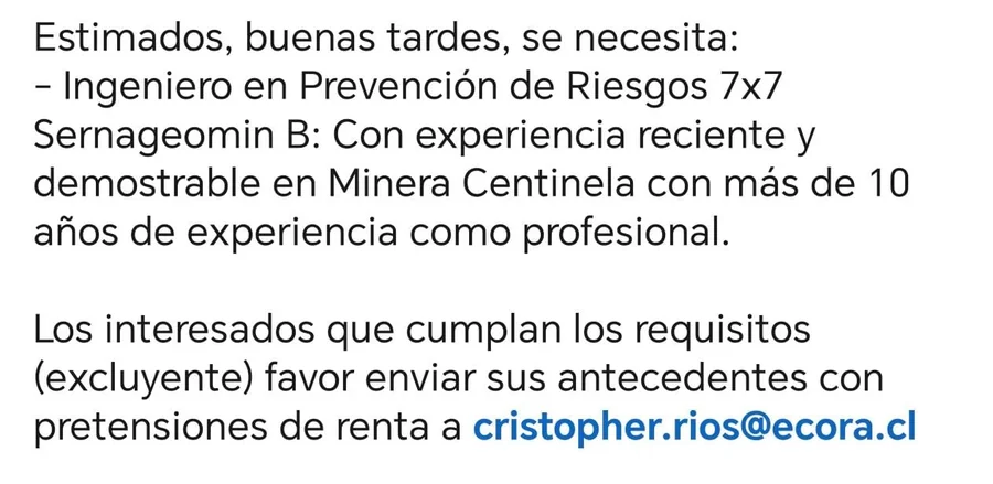 Ingeniero en Prevención de Riesgos 7x7 - imagen 1