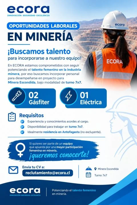 Gásfiter y Eléctrica para Minería - imagen 1
