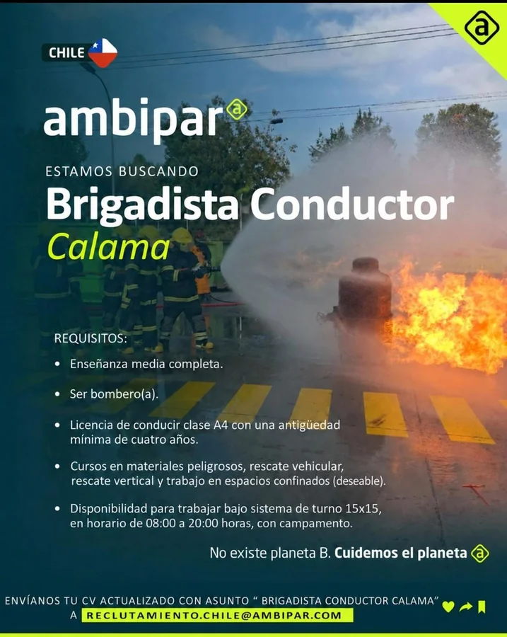 Brigadista Conductor - imagen 1