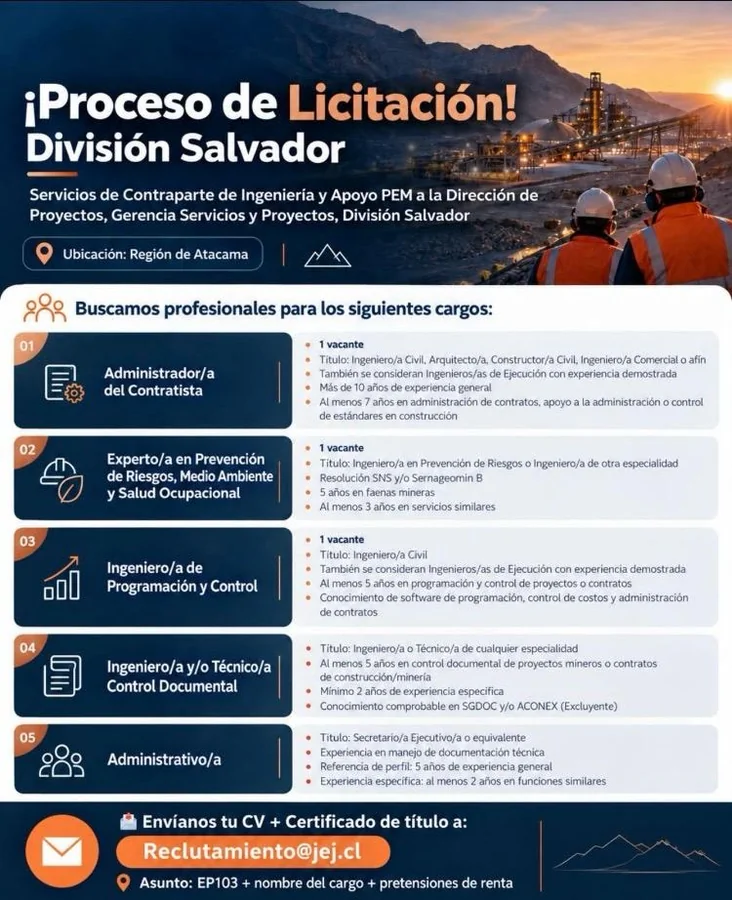 Profesionales para Licitación División Salvador - imagen 1