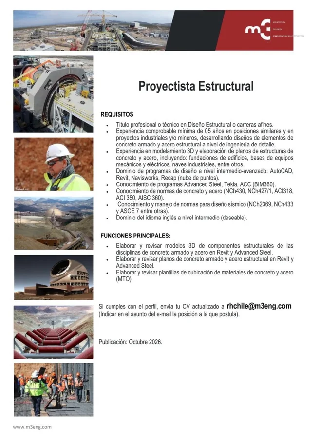 Proyectista Estructural - imagen 1