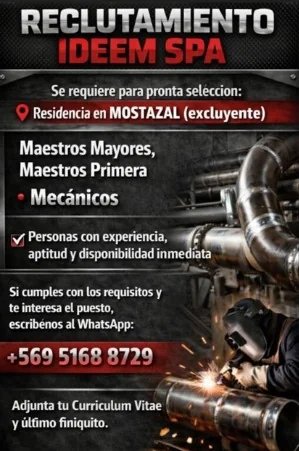 Maestros y Mecánicos - imagen 1