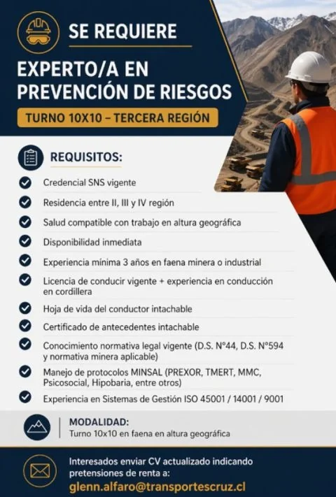 Experto en Prevención de Riesgos Minería - imagen 1
