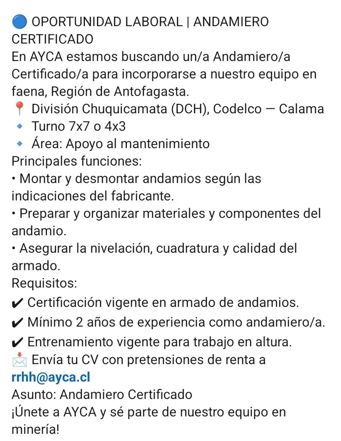 Andamiero certificado - imagen 1