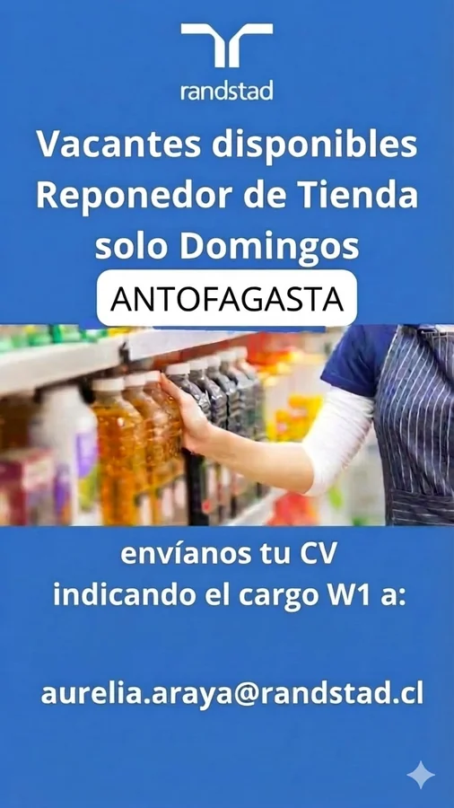 Reponedor de tienda - Solo domingos - imagen 1