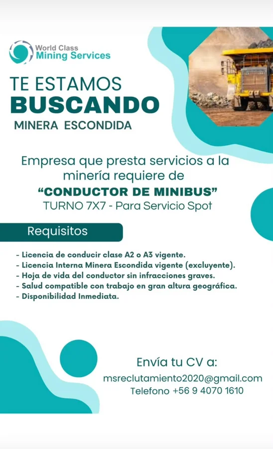 Conductor de Minibús - imagen 1