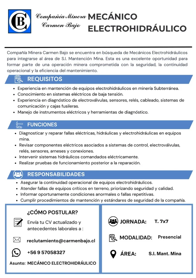 Mecánico Electrohidráulico - imagen 1