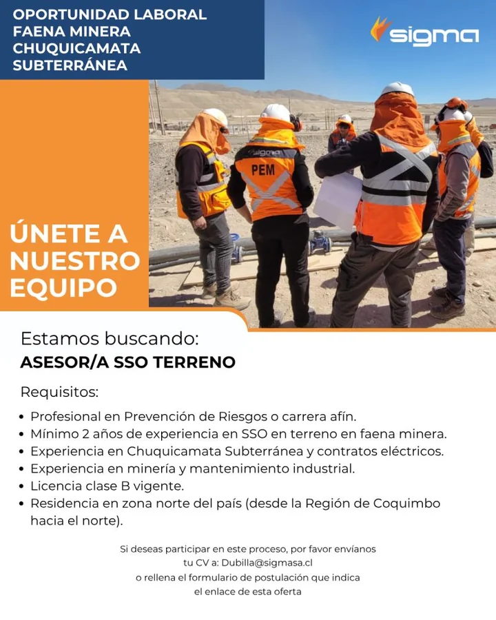 Asesor SSO Terreno - imagen 1