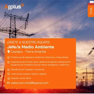 Jefe/a Medio Ambiente - imagen 1