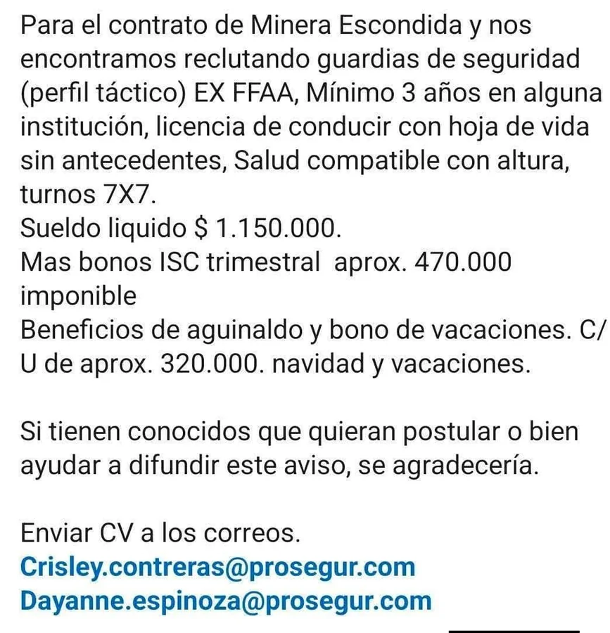 Guardia de Seguridad Táctico (Ex FFAA) - imagen 1