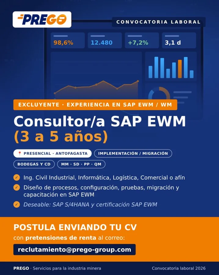 Consultor/a SAP EWM - imagen 1