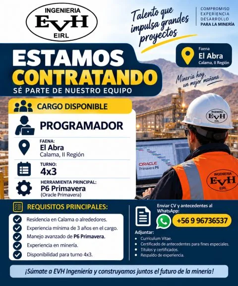 Programador P6 Primavera - imagen 1