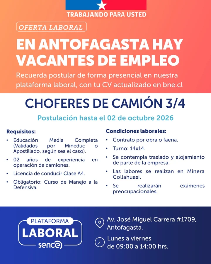 Chofer de Camión 3/4 - imagen 1