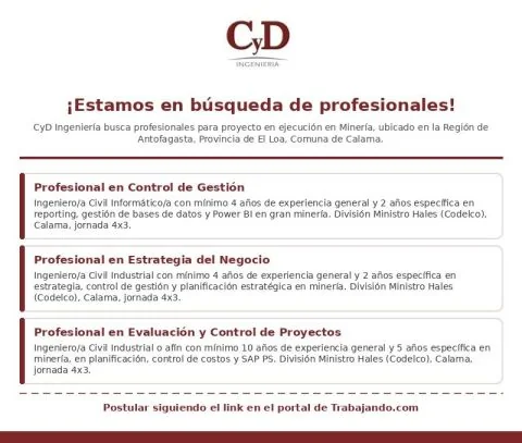 Profesionales para Minería en Calama - imagen 1