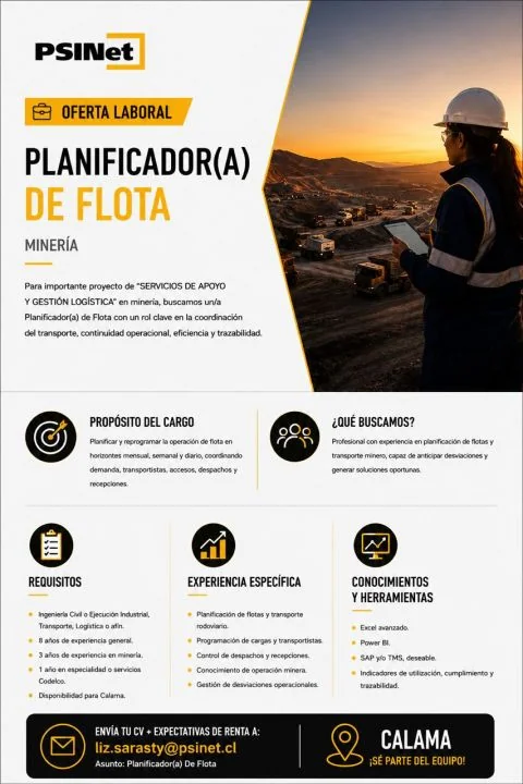 Planificador(a) de Flota - imagen 1