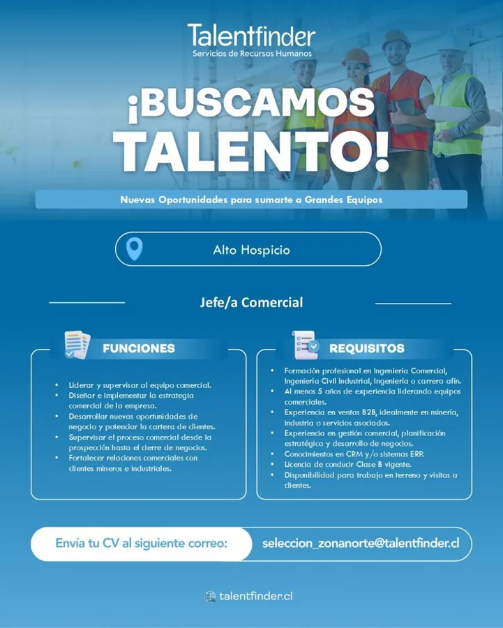 Jefe/a Comercial - imagen 1