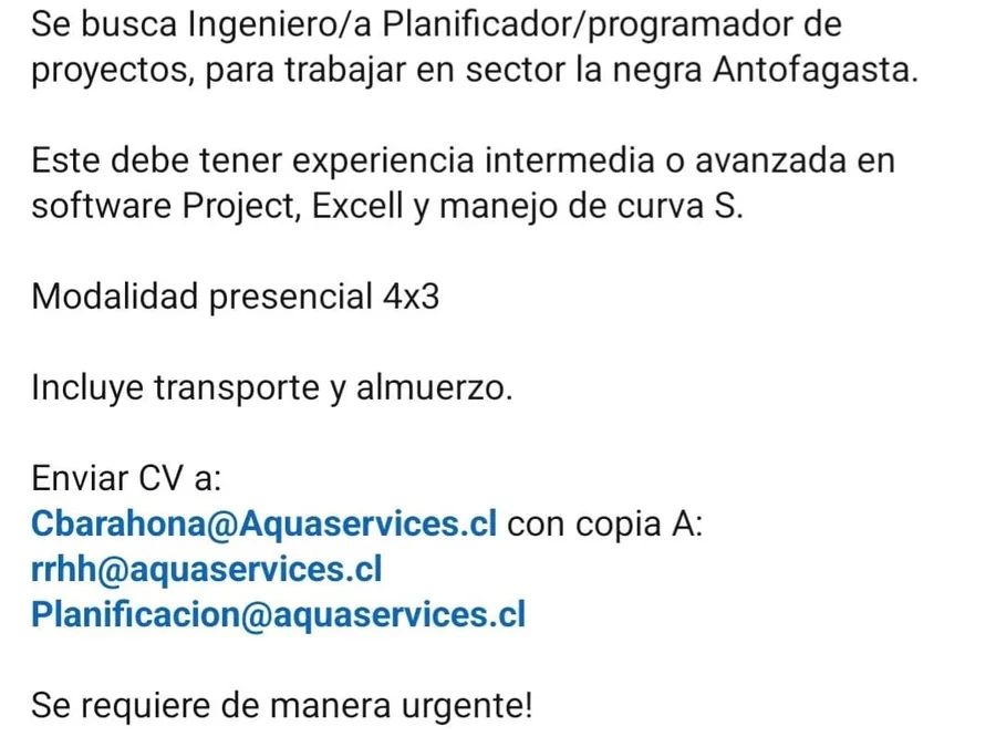 Ingeniero Planificador y Programador de Proyectos - imagen 1