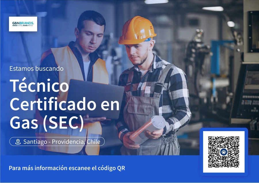 Técnico Certificado en Gas (SEC) - imagen 1