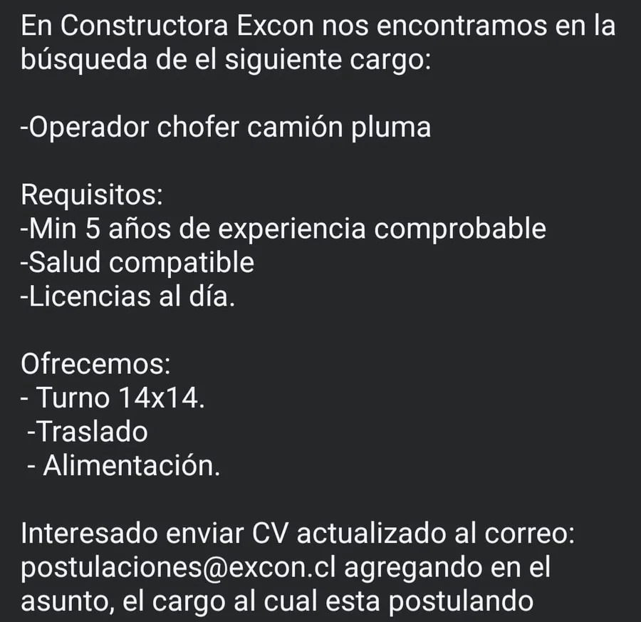Operador chofer camión pluma - imagen 1