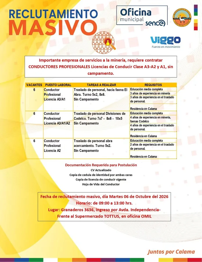 Conductor Profesional - imagen 1