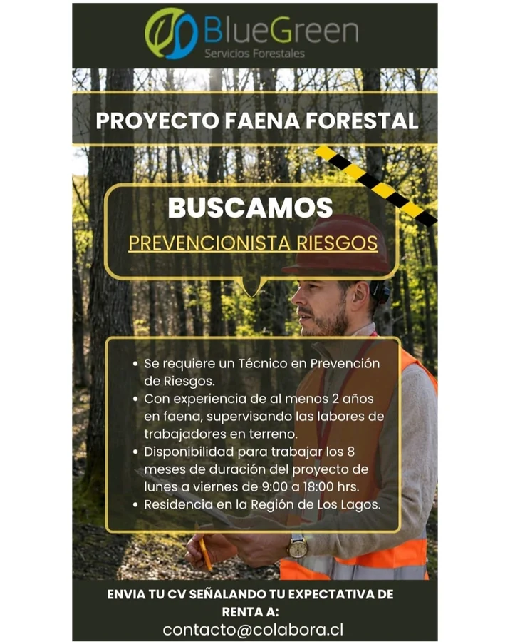 Prevencionista de Riesgos - imagen 1