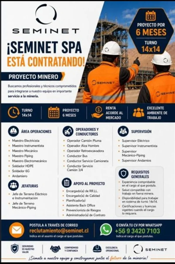 Múltiples cargos para proyecto minero - imagen 1